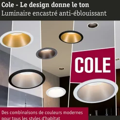 Best Paulmann Spot encastré LED 3-Step-Dim Cole Coin Kit de 1 IP44 rond 88mm Coin 6W 470lm 230V gradable 2700K Blanc