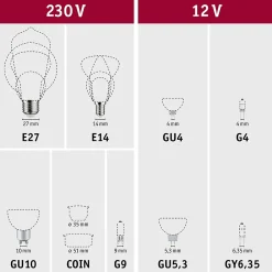 Paulmann Ampoule Pour Spot|Ampoule Gu4<Standard 12 V Réflecteur LED GU4 3x345lm 3x4,2W 2700K Argent