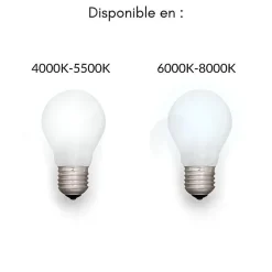 Silamp Tube Néon LED 60cm T8 10W (Pack de 5) - Blanc Neutre 4000K - 5500K -