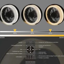 zmh Ventilateur De Plafond<Ventilateur De Plafond Noir Silencieux Avec Lumière Et Télécommande