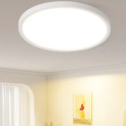 zmh Plafonnier LED Blanc Whonzimmer 15w Pour Cuisine Et Couloir